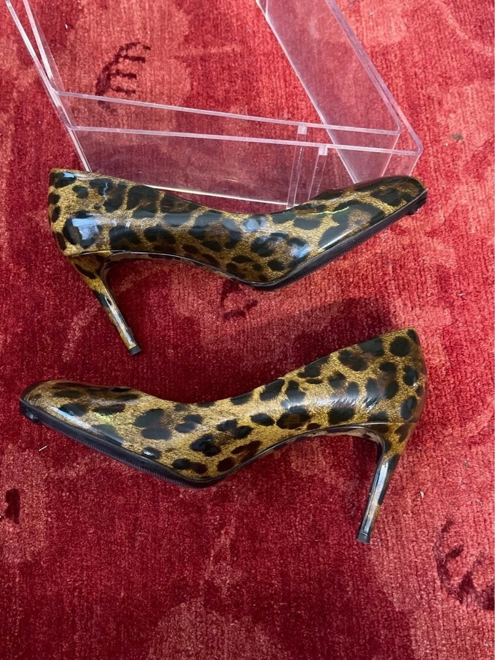 Dolce & Gabbana stylish leopard